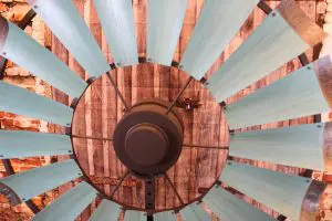 TexasTurquoiseWithPatinaBronzeTips21