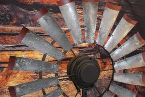 Brahman Tinge Weathered Barn Red Tips 10