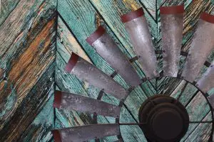 Brahman Tinge Weathered Barn Red Tips 2