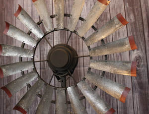 Brahman Tinge Weathered Barn Red Tips 6