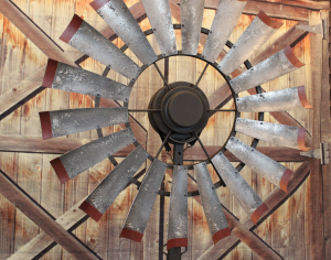 Brahman Tinge Weathered Barn Red Tips 7