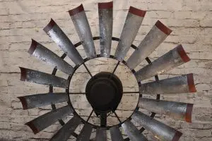 Brahman Tinge Weathered Barn Red Tips 9