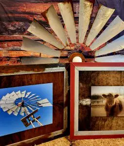 Copy of OldBlueCaseyA