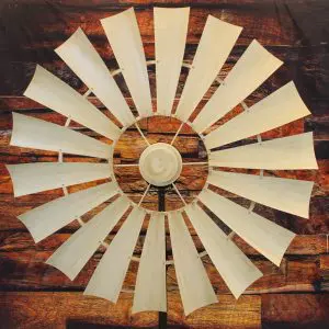 Weathered Antique White 21