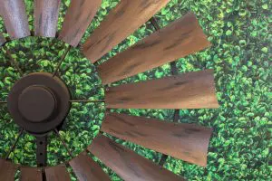 Weathered Burnt Umber 21