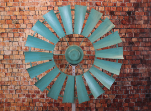 Weathered Texas Turquoise 16