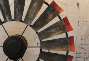 Brahman Tinge with Rustic Red Tips 1