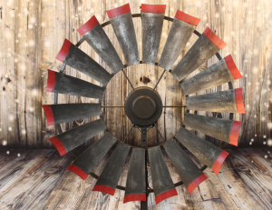 Brahman Tinge with Rustic Red Tips 3