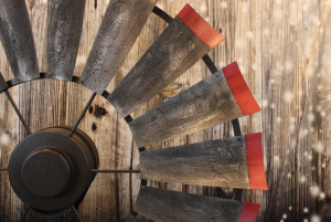 Brahman Tinge with Rustic Red Tips 4