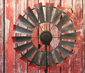 Brahman Tinge with Rustic Red Tips 5