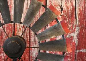 Brahman Tinge with Rustic Red Tips 6