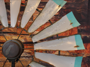 Cattleman with Turquoise Tips 13