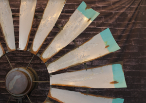 Cattleman with Turquoise Tips 3