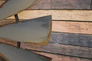 Remington with Rust 1