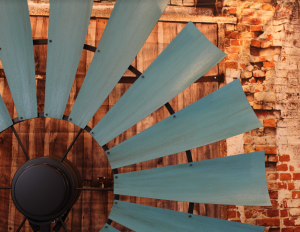 Weathered Texas Turquoise 24