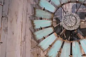 Montana Sky close up