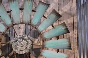 Montana Sky close up b