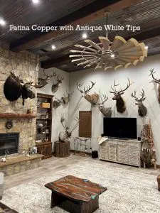 Windmill Fan Photo 2