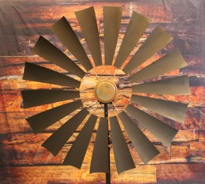 Oil Rubbed Bronze Blades with Patina Copper Motor 5