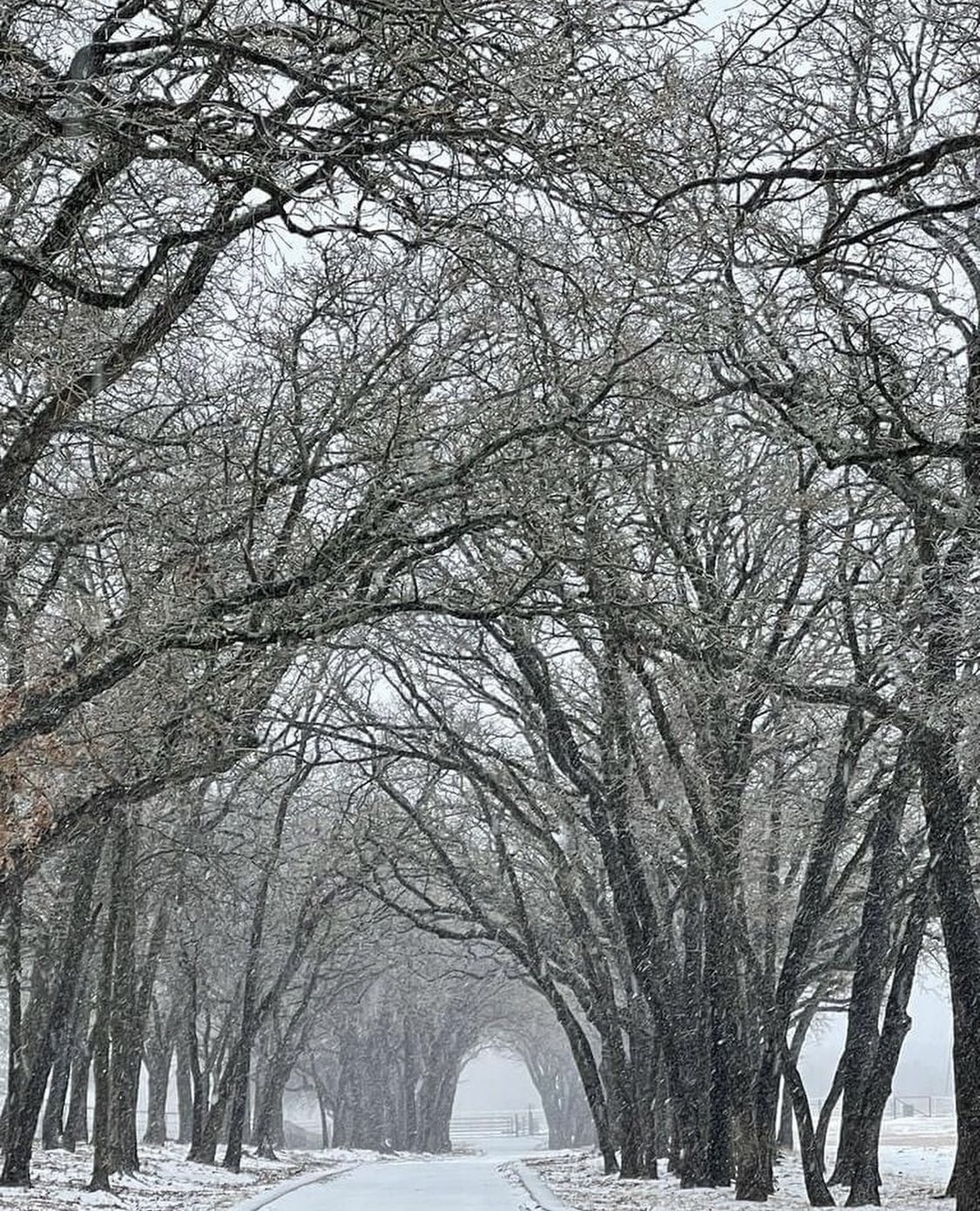 6 Ways to Prepare for a Snow Storm