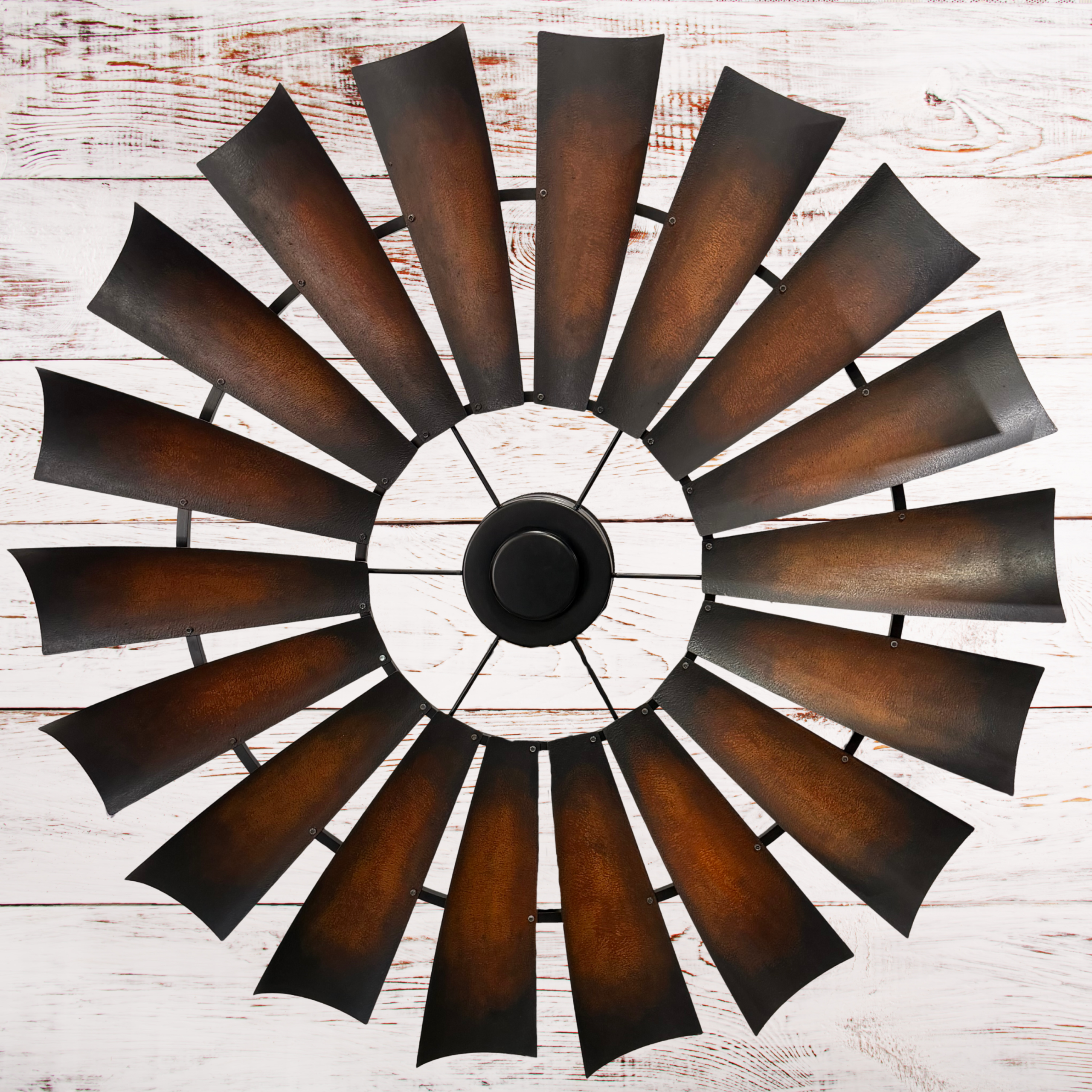 WCF-Buffalo Bill Fan